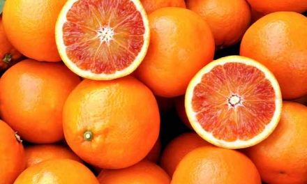 Hati-hati, Kekurangan Vitamin C Bisa Mengganggu Kesehatan